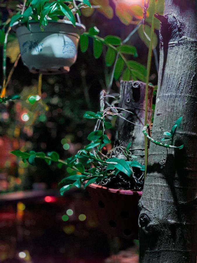 Tam Coc Sunrise Homestay ニンビン エクステリア 写真